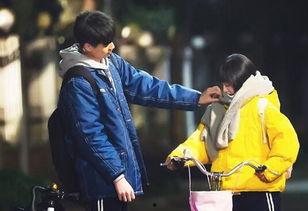 江辰家庭背景,权势与荣耀的传承之路