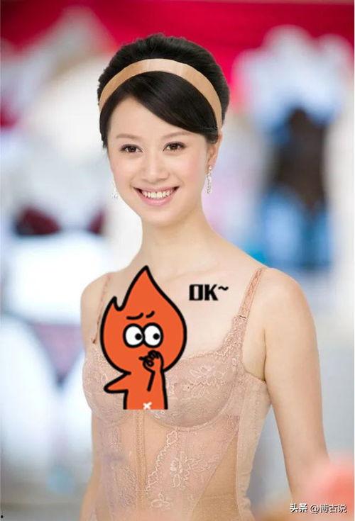 倪虹洁老公照片,帅气型男引关注