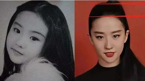 盘点那些网红变成明星,盘点那些从网络红人到明星的华丽转身